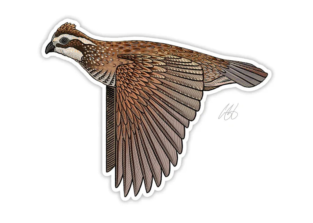CASEY UNDERWOOD GAME BIRD STICKER