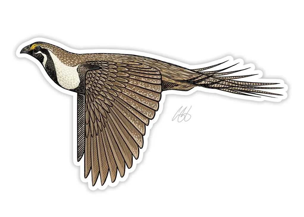 CASEY UNDERWOOD GAME BIRD STICKER