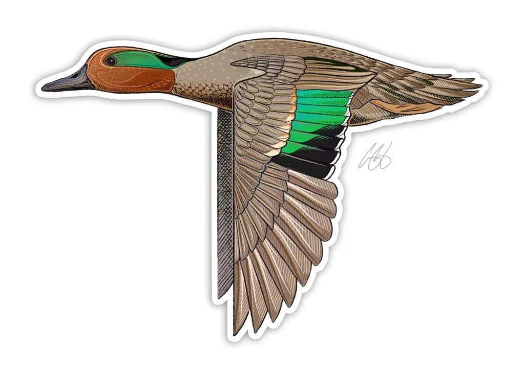 CASEY UNDERWOOD GAME BIRD STICKER