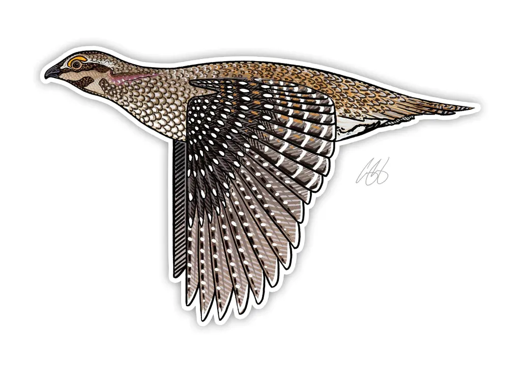 CASEY UNDERWOOD GAME BIRD STICKER