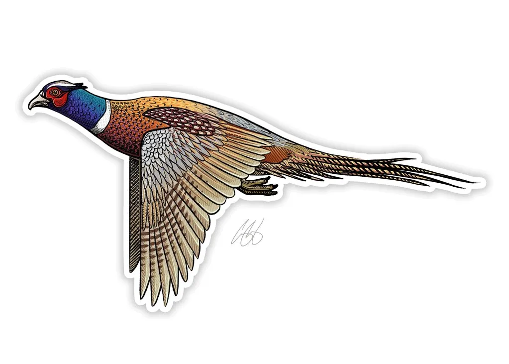 CASEY UNDERWOOD GAME BIRD STICKER