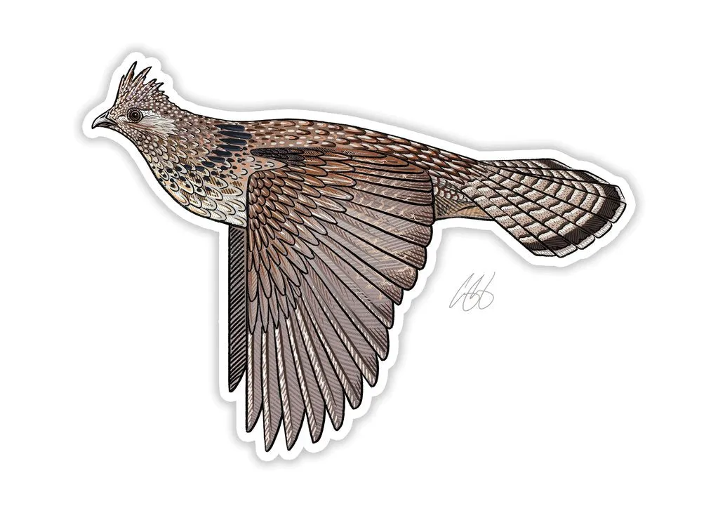 CASEY UNDERWOOD GAME BIRD STICKER