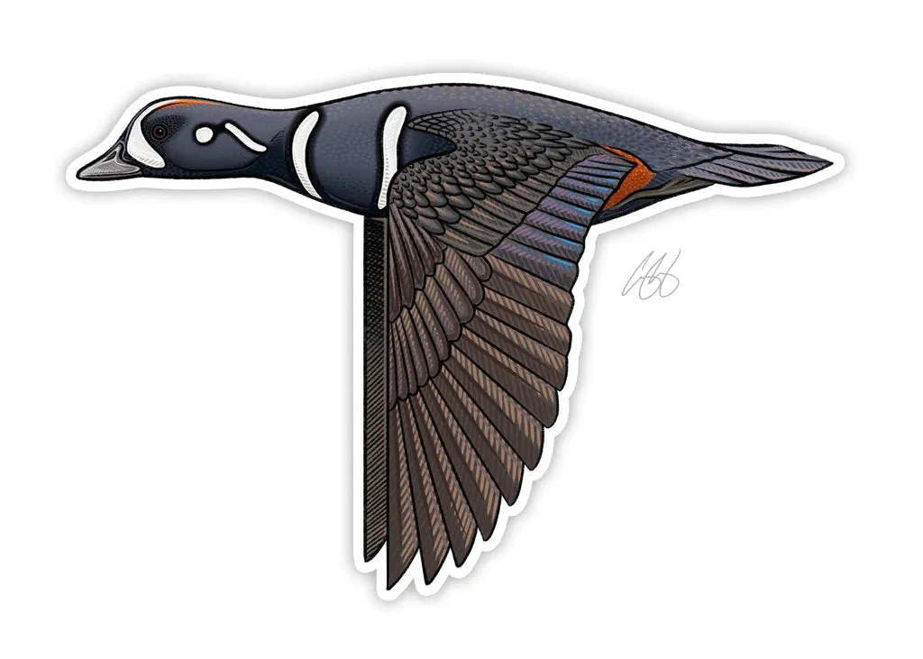 CASEY UNDERWOOD GAME BIRD STICKER
