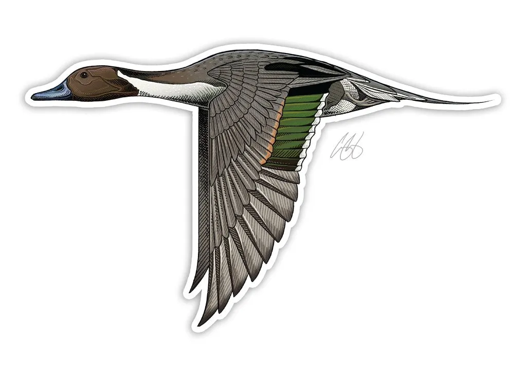 CASEY UNDERWOOD GAME BIRD STICKER