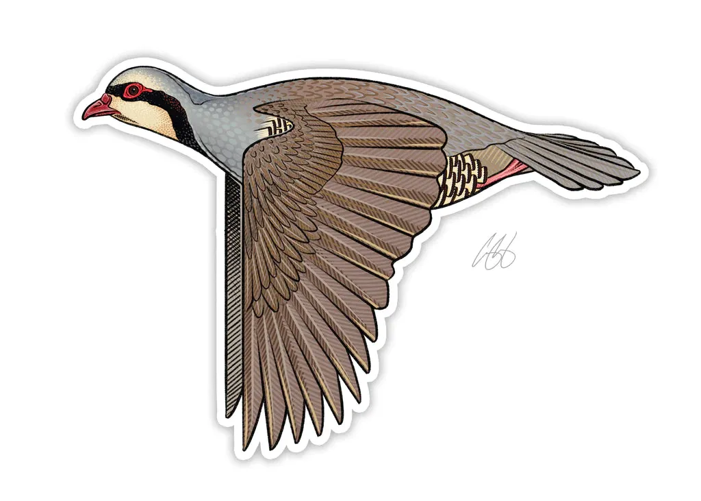 CASEY UNDERWOOD GAME BIRD STICKER