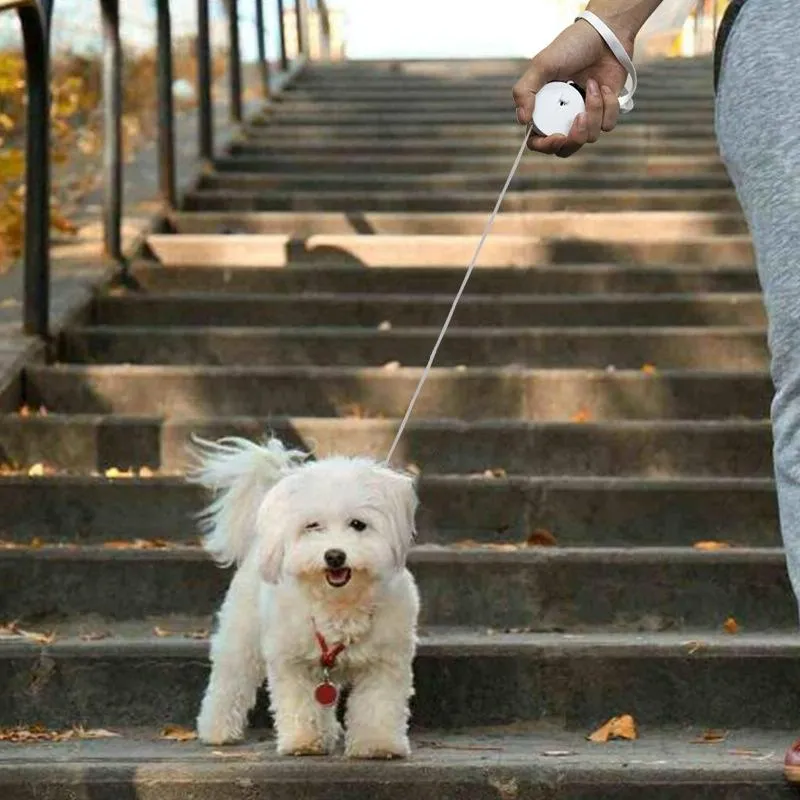 Compact Dog Leash With Automatic Retractor