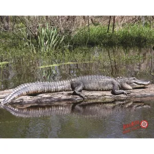 DuraMesh Archery Target Alligator 25 in. x 32 in.