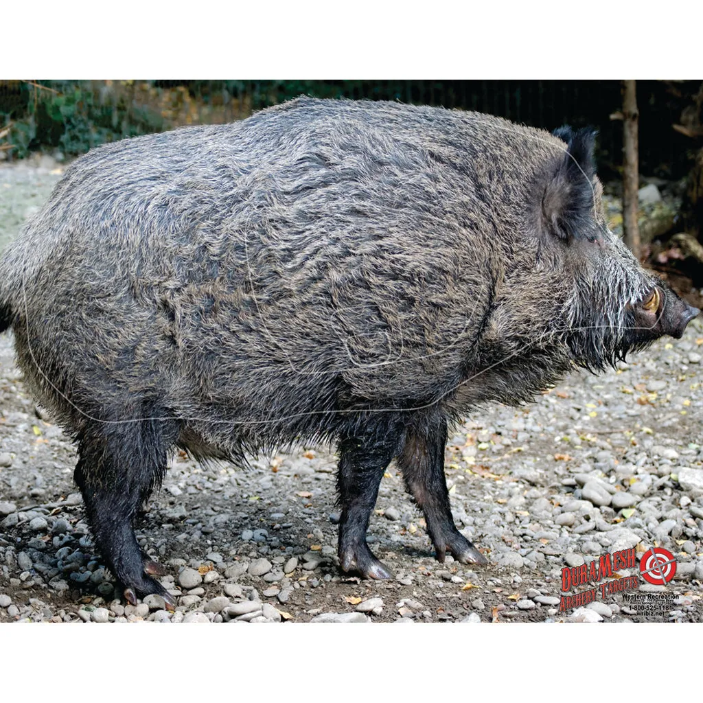 Duramesh Archery Target Wild Boar 25 In. X 32 In.