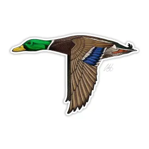 Mallard Sticker