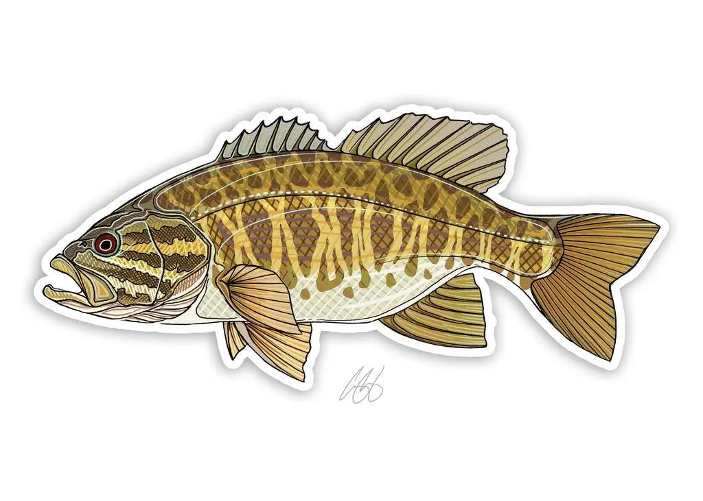 Smallmouth Bass Decal