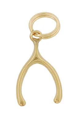 Wishbone Charm in 14 Karat Yellow Gold
